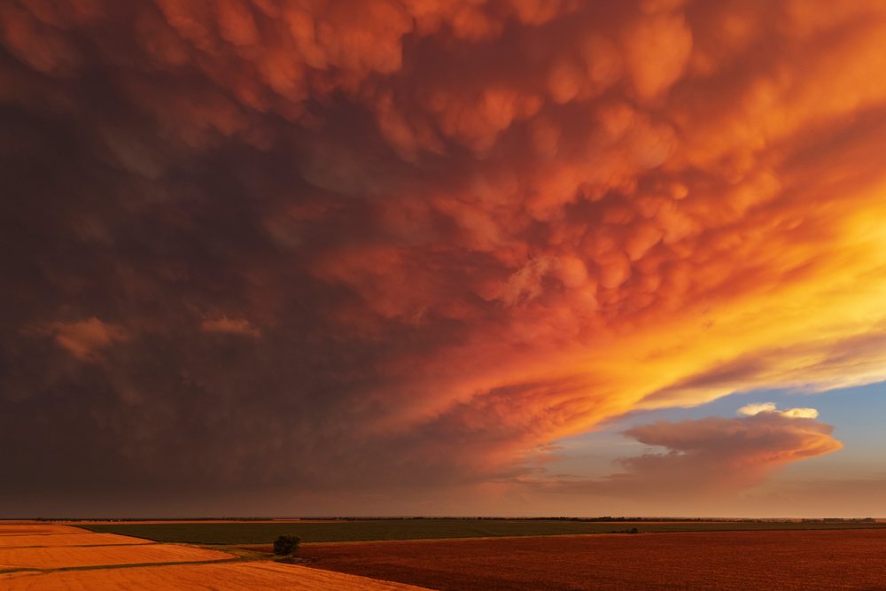 Mammatus clouds glow orange at Sunset above farmland, in Tornado Alley, Weather, Environmental Issues, Storm Chasing, Windom, Kansas, USA.