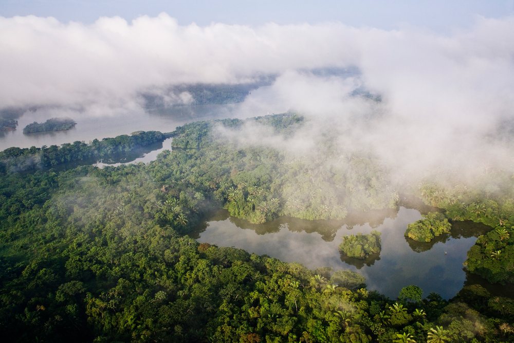 Aerial view showing fog over dense rainforest and river islands along the Panama Canal with lush tropical vegetation.