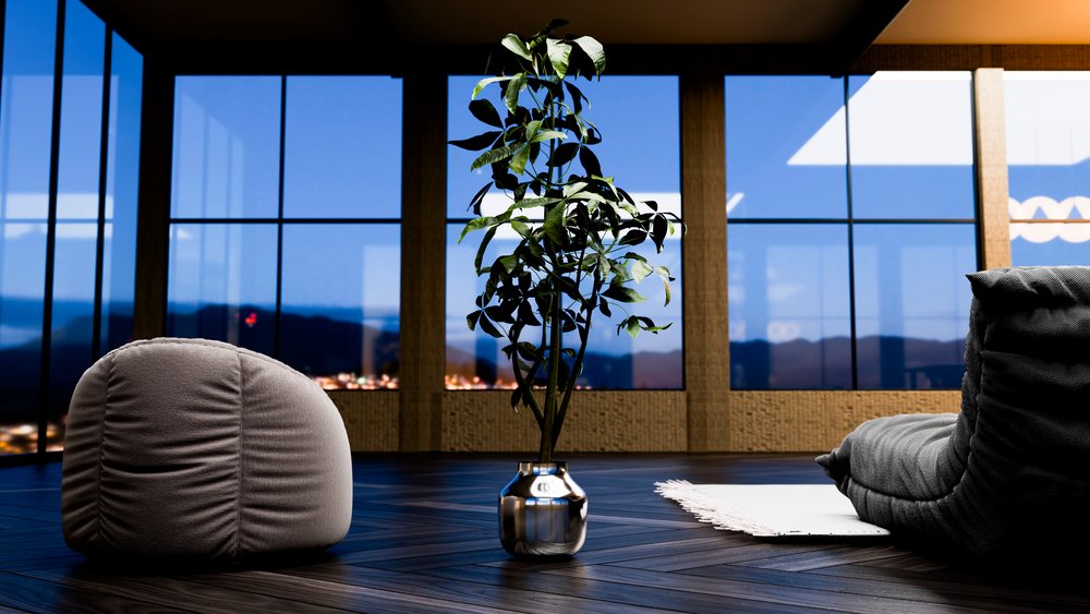 Green plant with elongated leaves in a shiny reflective pot on a dark wooden floor near a cushion and white rug, with large black-framed windows showing city lights at twilight.