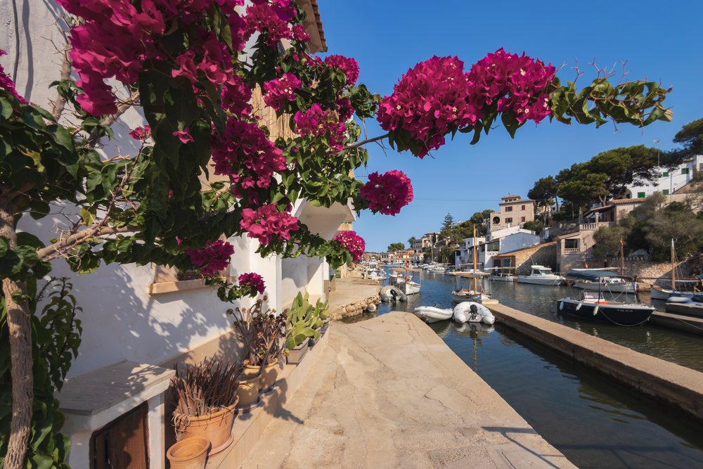 Boats docked along a canal beside white buildings and blooming bougainvillea in the harbor, Landscape, Lifestyle, Cala Figuera, Mallorca, Spain.