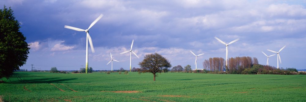 Wind turbines spinning in a green grass field under a cloudy sky with a lone tree standing.