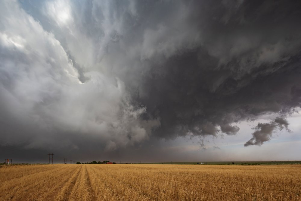 Supercell storm clouds are forming over a rural wheat field with electricity pylons visible, Levelland, Texas, USA.
