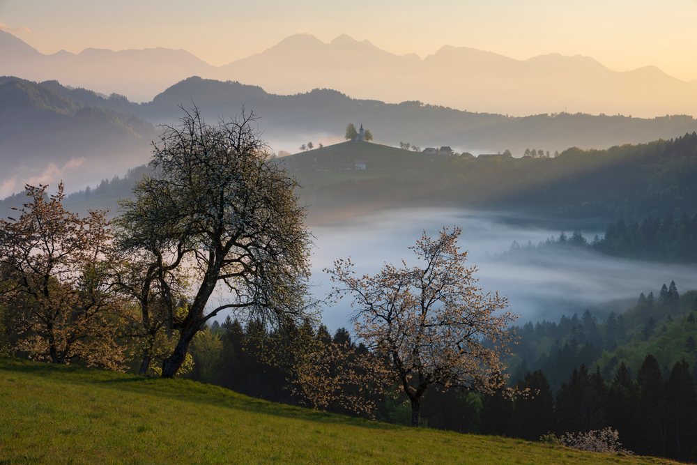 St Thomas's Church on a hill at Sunrise with fog and blossoming trees, landscape, cityscape, Škofja Loka, Slovenia.