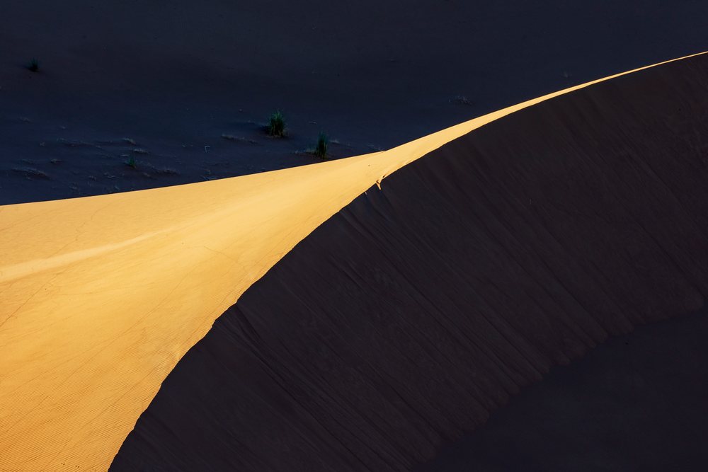 Sunset illuminates the sharp edge and textured sand dune ridge amidst sparse desert vegetation in Chaggaga Sand Dunes, Lifestyle, Landscape, Culture, M'hamid El Ghizlane, Zagora Province, Morocco.