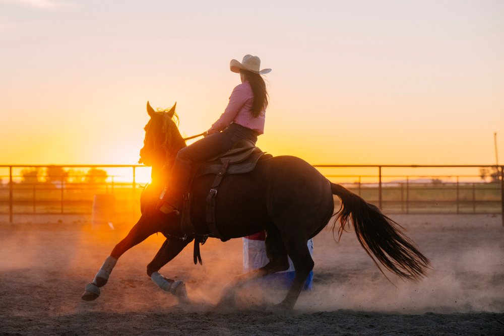 Horseback rider wearing a western hat turns a horse sharply in a dusty outdoor arena at sunset, Southwest USA.