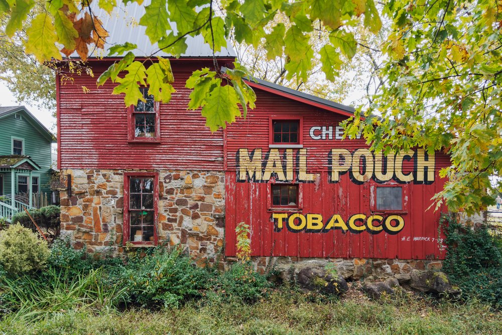 Painted Mail Pouch Tobacco mural decorates a historic red Barn with stone foundation, visible through green tree leaves, Carthage, Missouri, USA.