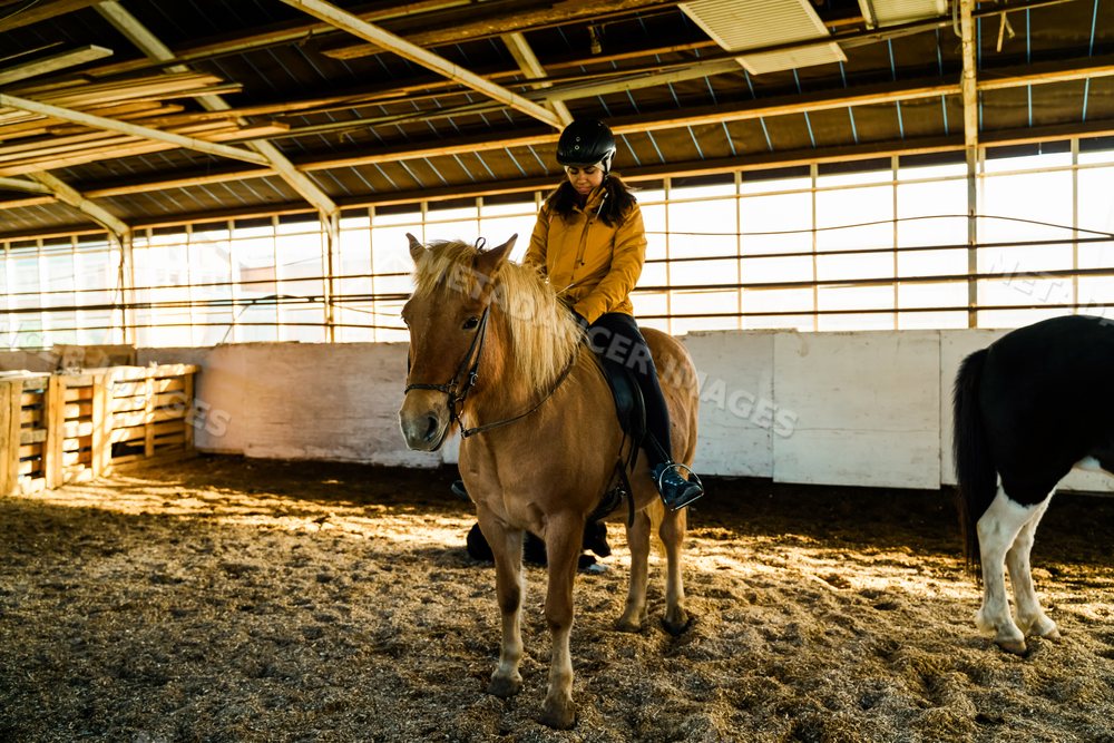 A white girl rides a brown horse in an indoor riding arena