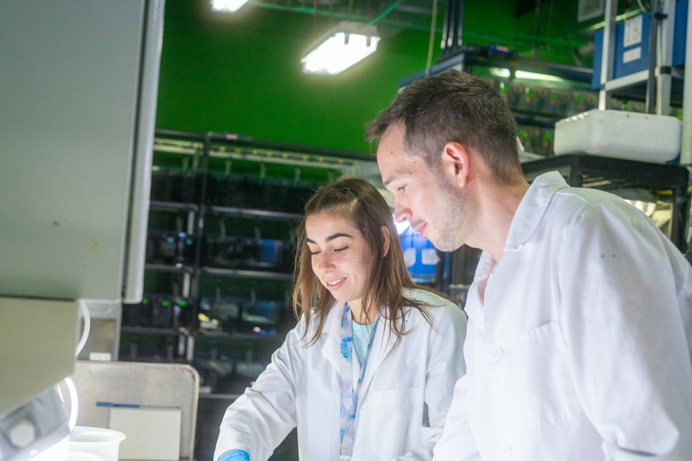 Two scientists wearing lab coats collaborate on an experiment in a research laboratory, Spain.