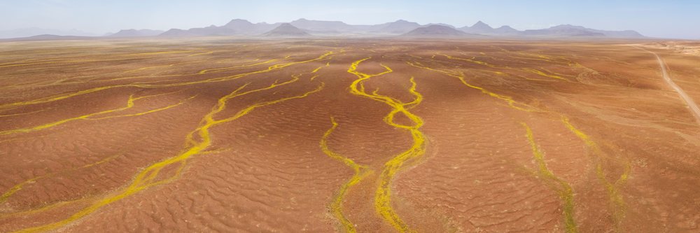 Dry riverbeds of Devil's Thorn flow through the arid Kunene Region landscape, with distant mountains visible, Namibia.
