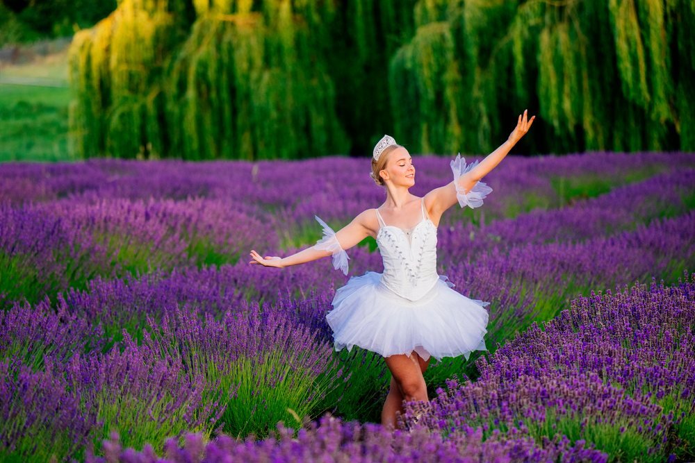 A ballerina in a white tutu dances gracefully amidst a lush lavender field with willow trees in the background, WA, USA.