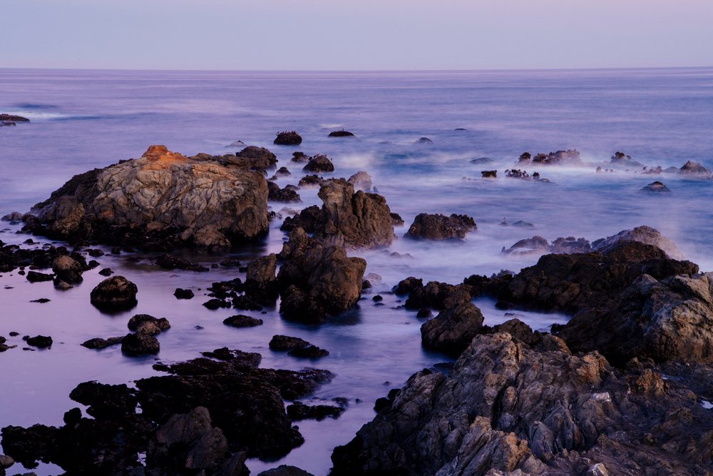 Waves roll over a rocky coastline with seaweed at twilight along the northern Pacific coast and, Oregon, California, USA.
