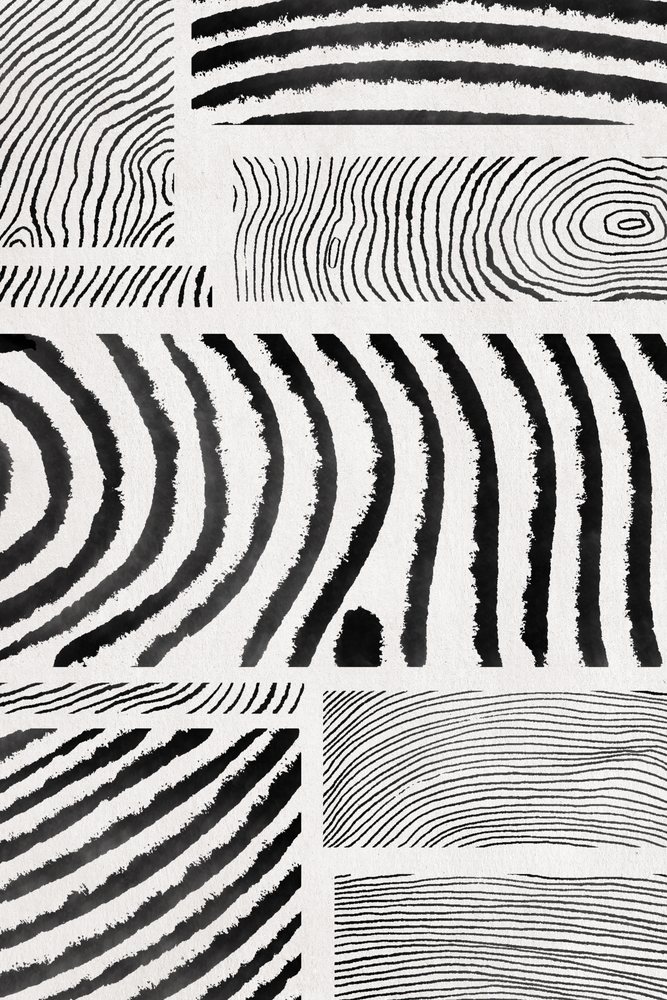 abstract hand-drawn black ink line patterns arranged in a geometric composition on paper, illustration.