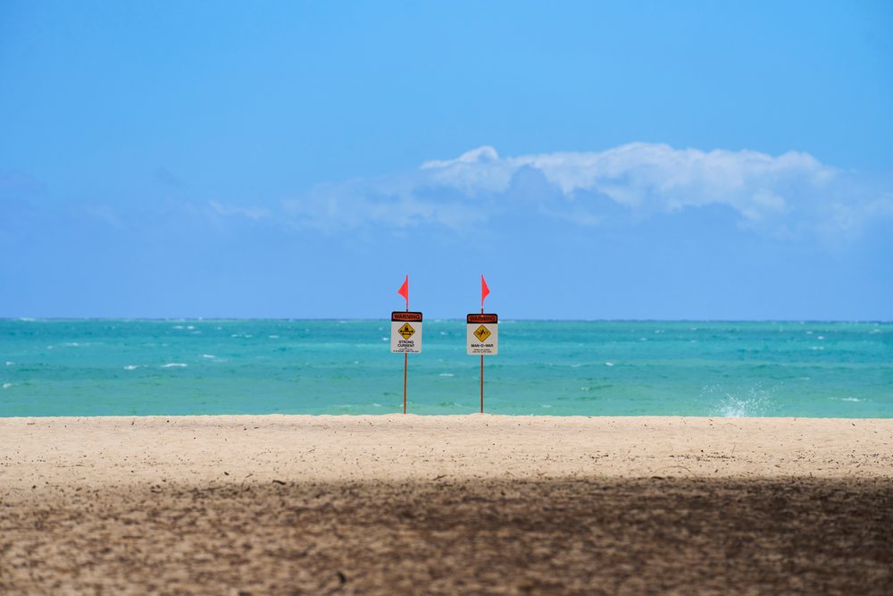 Beach scene with two warning signs and red flags on the sand near turquoise ocean and blue sky, Hawaii, USA.
