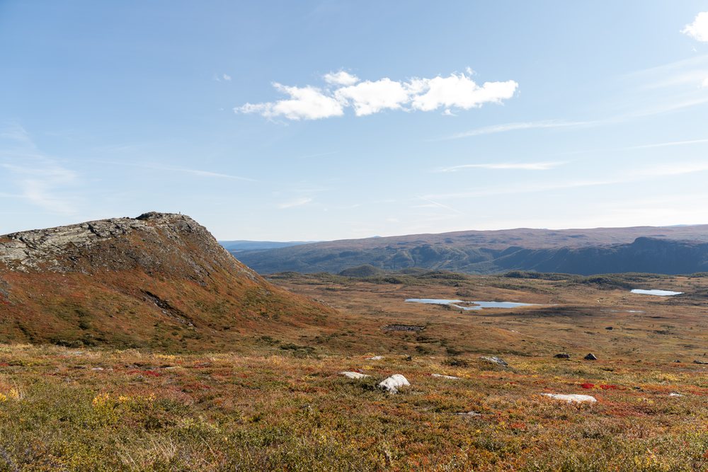 Scenic view of a rocky mountain plateau with small lakes and autumn tundra vegetation under a clear sky, Norway.