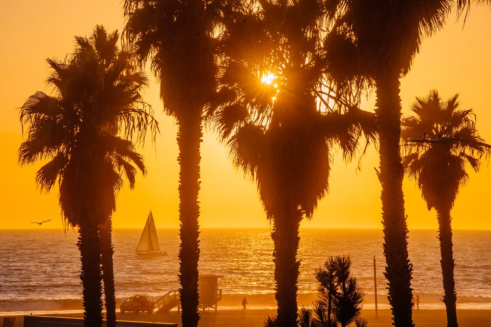 Palm trees silhouette against a golden sunset over the Santa Monica beach and ocean with a sailboat and people walking, CA, USA.