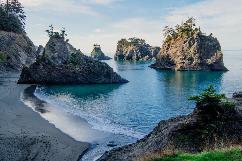 Ocean water and waves with rocky formations and pine trees along the beach, Boardman State Park, Oregon, USA.