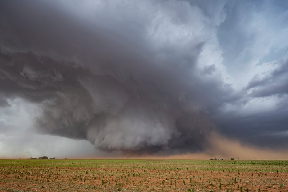 Monster Wedge Tornado forms over flat farmland, USA's Tornado Alley region of the Great Plains, Storm Chasing, Morton, Texas.