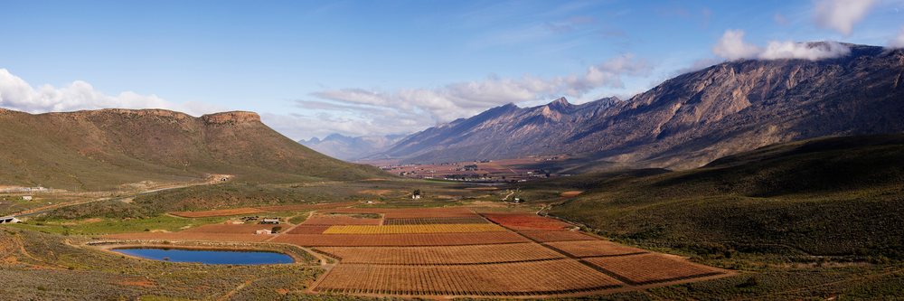 Hex River Valley vineyard fields and surrounding mountains, Autumn, Western Cape, South Africa.