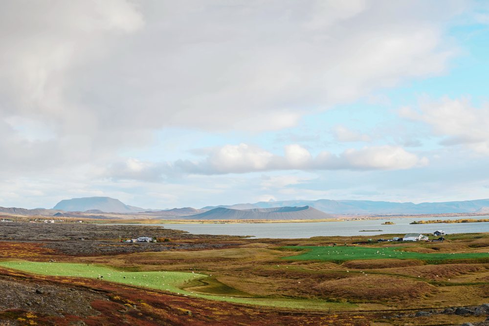 A scenic Icelandic landscape featuring fields with grazing sheep, farmhouses, a lake, and mountains under a partly cloudy sky, Iceland.