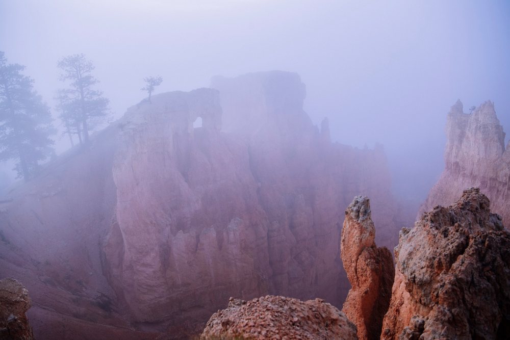 Fog envelops rock formations and pine trees along eroded cliffs in Bryce Canyon National Park, Utah, USA.