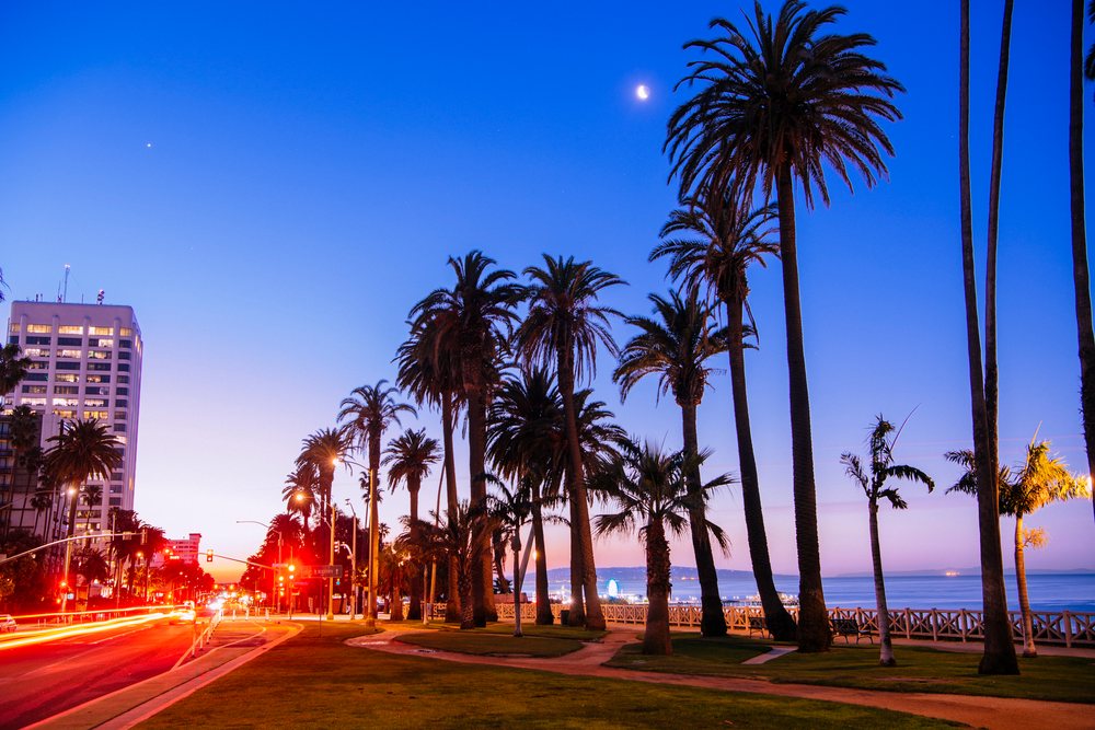 Palm trees line a coastal walkway at dusk with car light trails and a crescent moon visible above the ocean, Santa Monica, CA, USA.