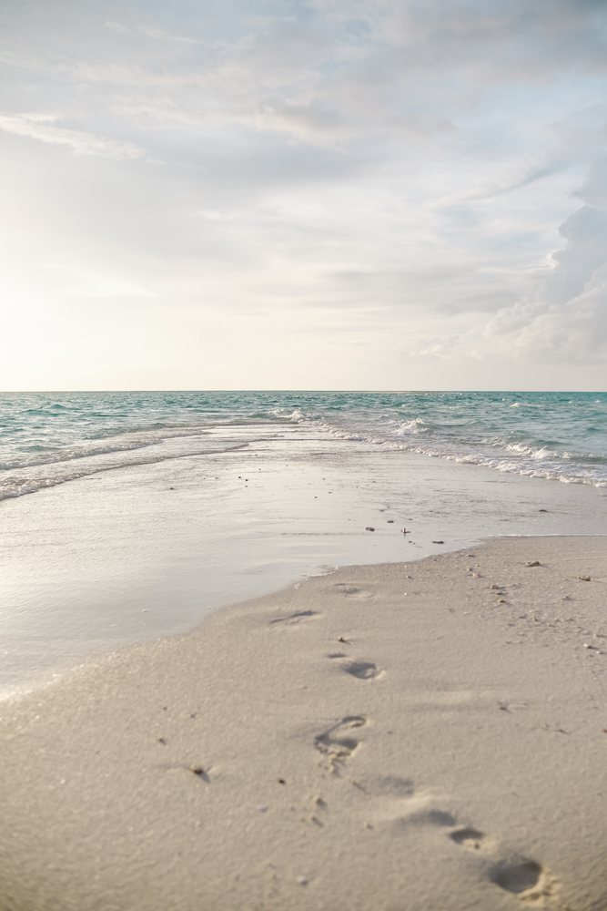 Footprints on a sandy beach along the calm ocean shore in a beach
