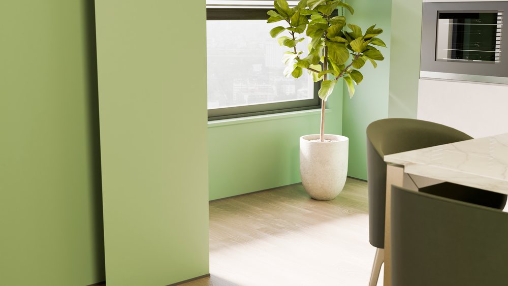 Large indoor potted plant with green leaves near a window in a modern kitchen with marble countertop and dining chairs.