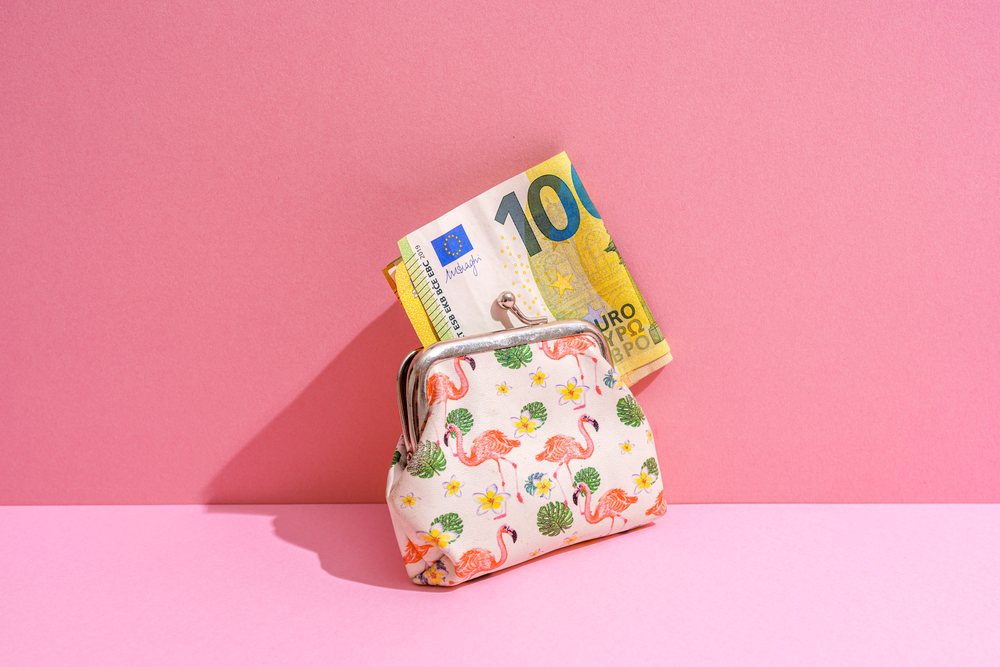 Coin purse with flamingo pattern holding euro banknotes on a pink studio background, Studio Shot.