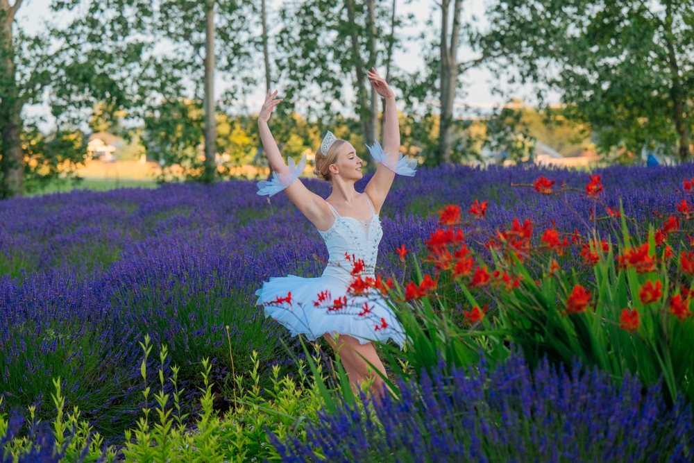 A ballerina in a white tutu gracefully dances in a lavender and red flower field, WA, USA.
