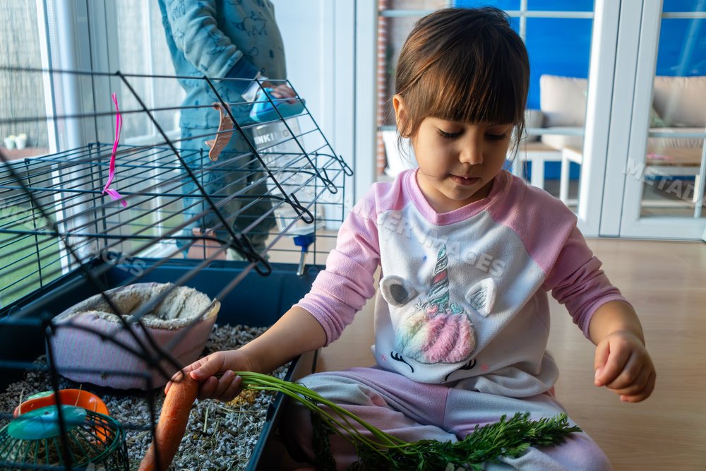 A young white girl feeding a rabbit