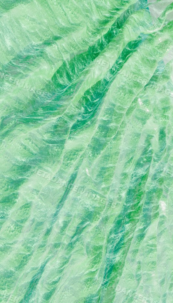 Close-up photo revealing the textured surface of a green leaf