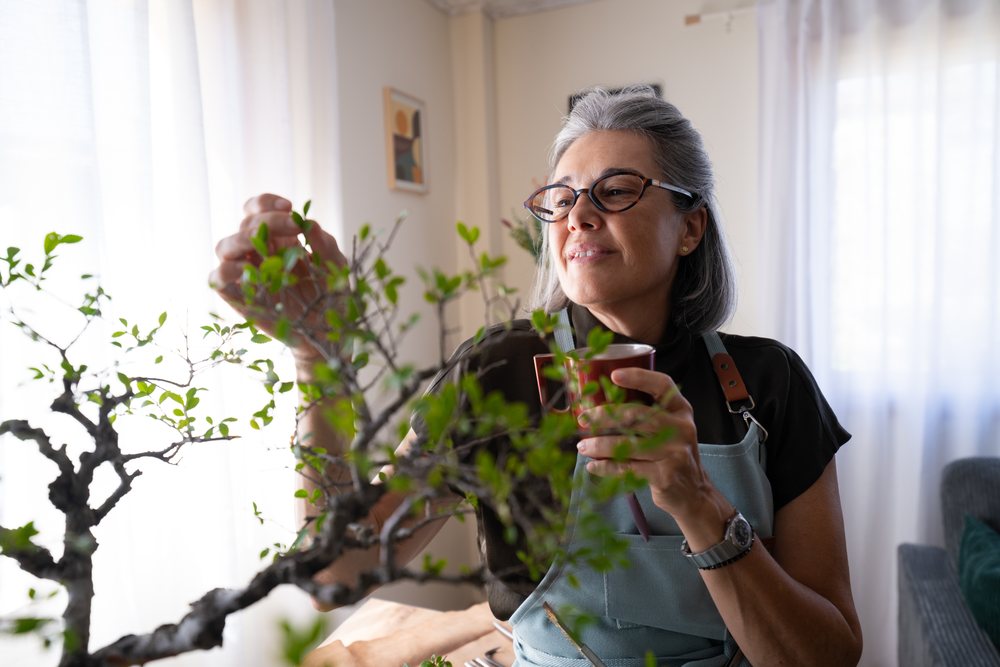 Woman in apron tending a bonsai tree while holding a cup indoors with natural light, Spain.