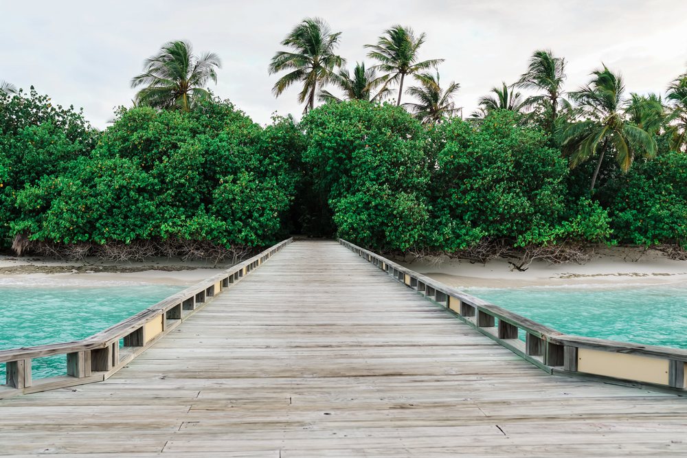 A wooden pier leads to a tropical island beach with palm trees