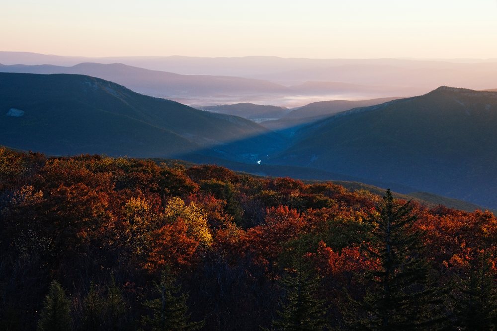 Autumn sunlight illuminates fall foliage on forested mountains with valley and fog, Monongahela National Forest, Dolly Sods.