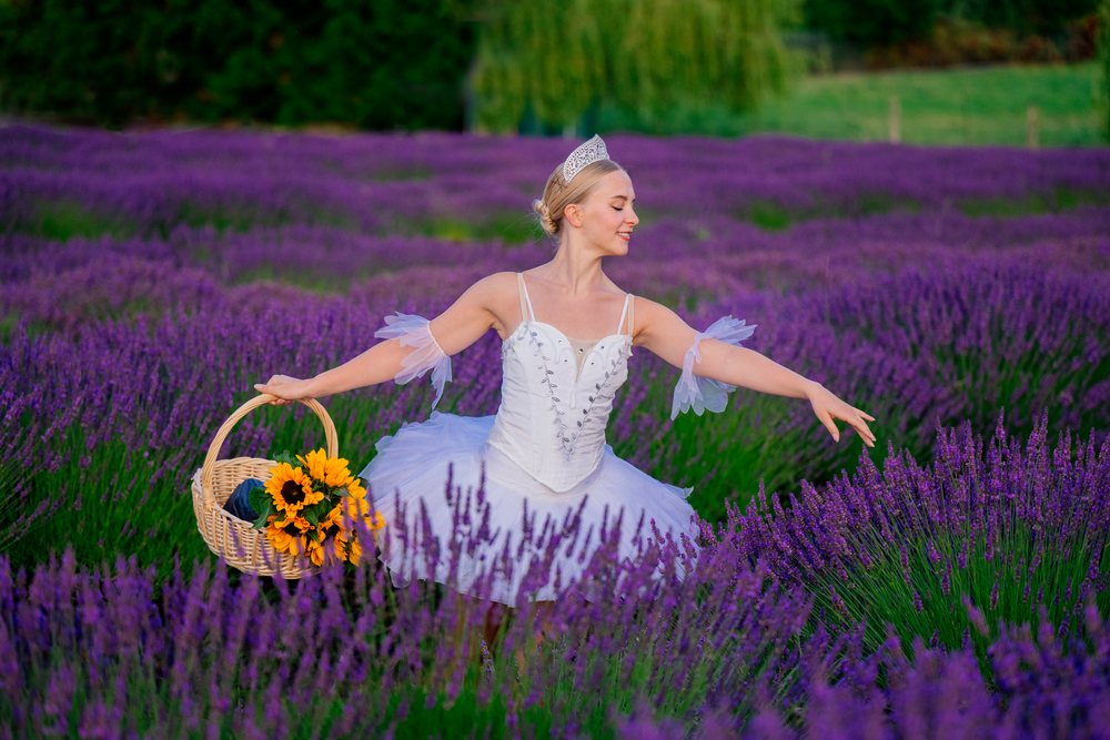 A ballerina wearing a white tutu and crown gracefully dances in a vibrant lavender field while holding a basket of sunflowers, WA, USA.