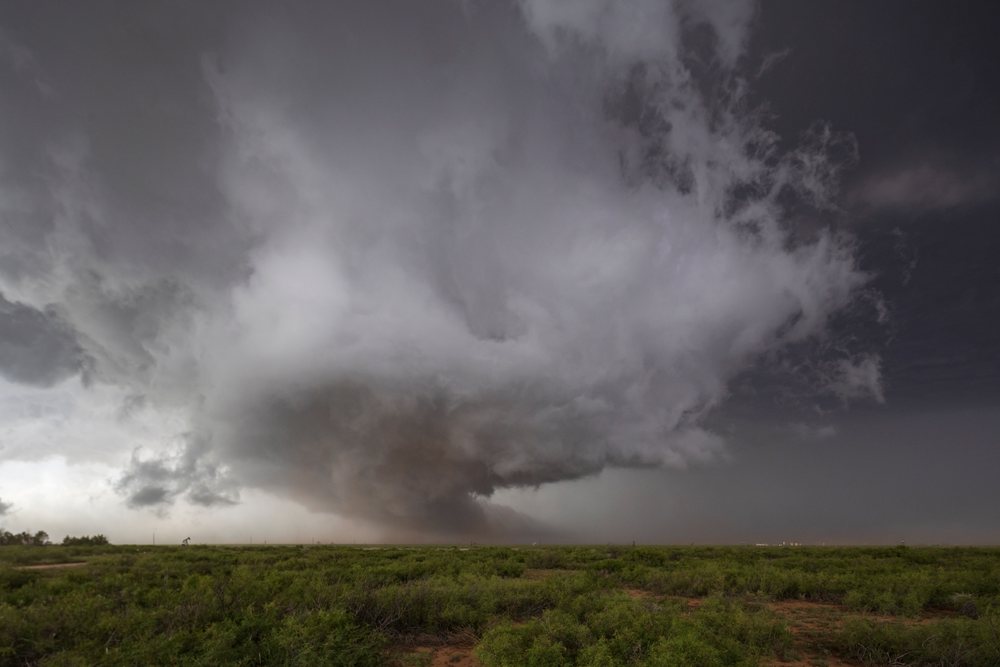 Tornado forming beneath a large supercell thunderstorm over green grassland, part of Tornado Alley, Storm Chasing, Levelland, Texas, USA.