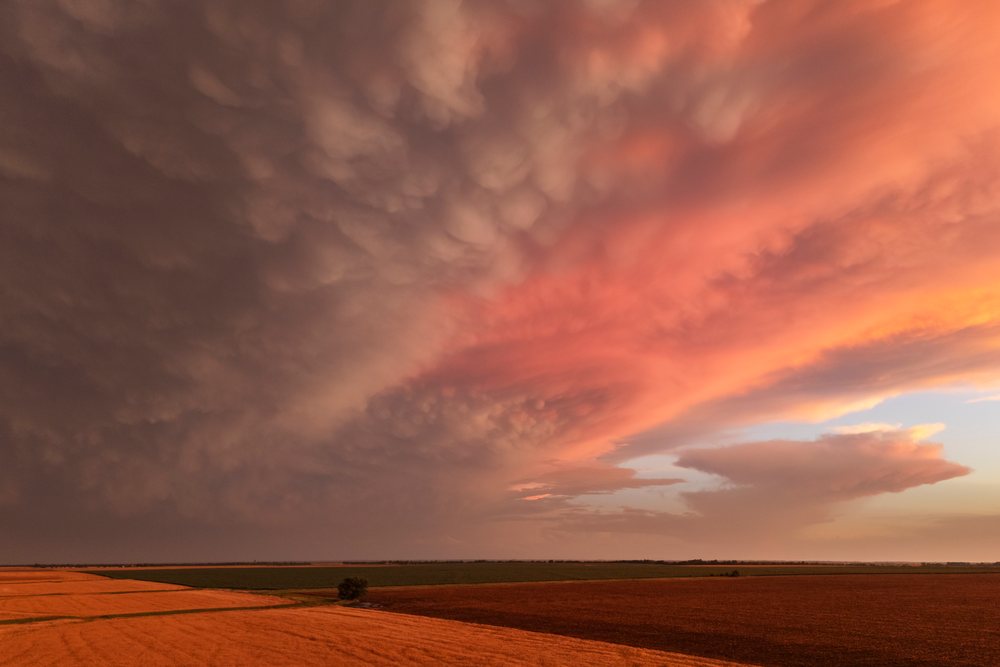 Dramatic mammatus cloud formations appear at Sunset over flat agricultural fields in the USA Great Plains, Weather, Environmental Issues, Storm Chasing, Windom, Kansas.