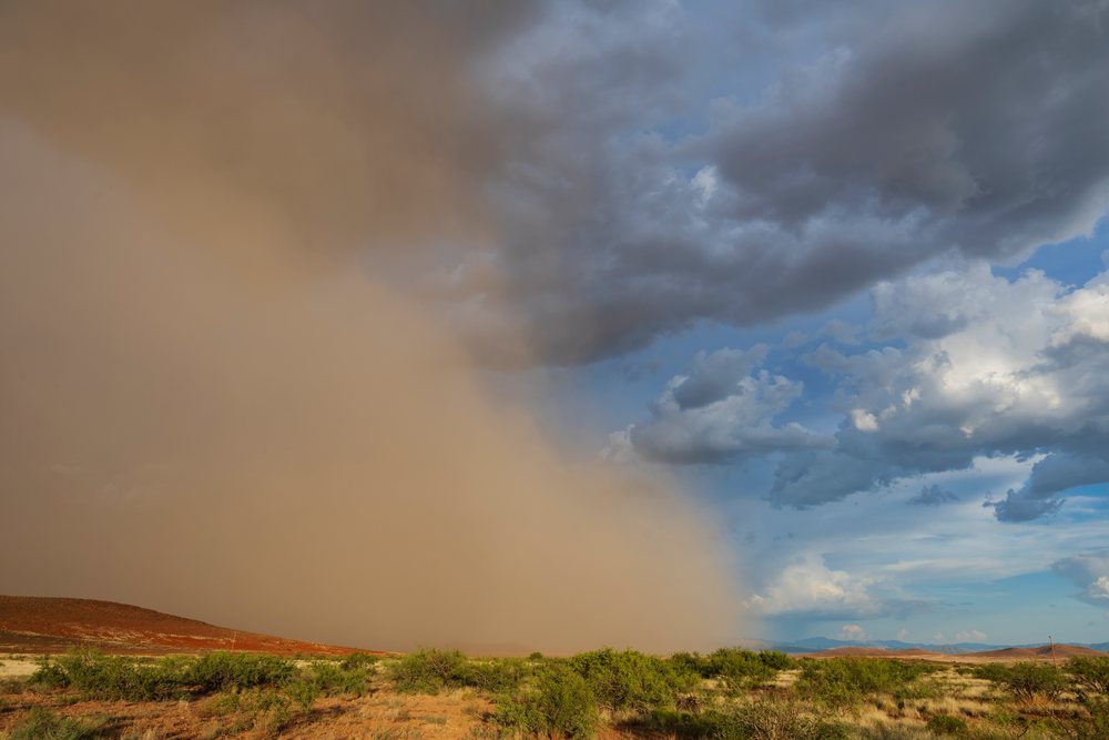 The leading edge of a large Haboob dust storm advances over a desert landscape with brush and hills, Storm Chasing, Weather, Environmental Issues, Rodeo, Arizona, USA.