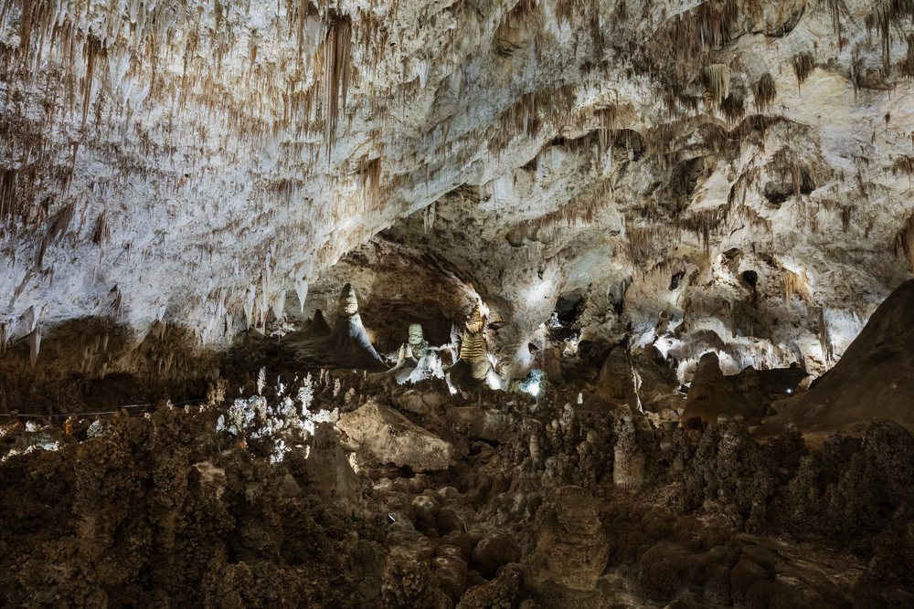 Interior of Carlsbad Caverns in New Mexico showing stalactites and stalagmites rock formations with mineral deposits under lighting, landscape, wildlife, Carlasbad Caverns.