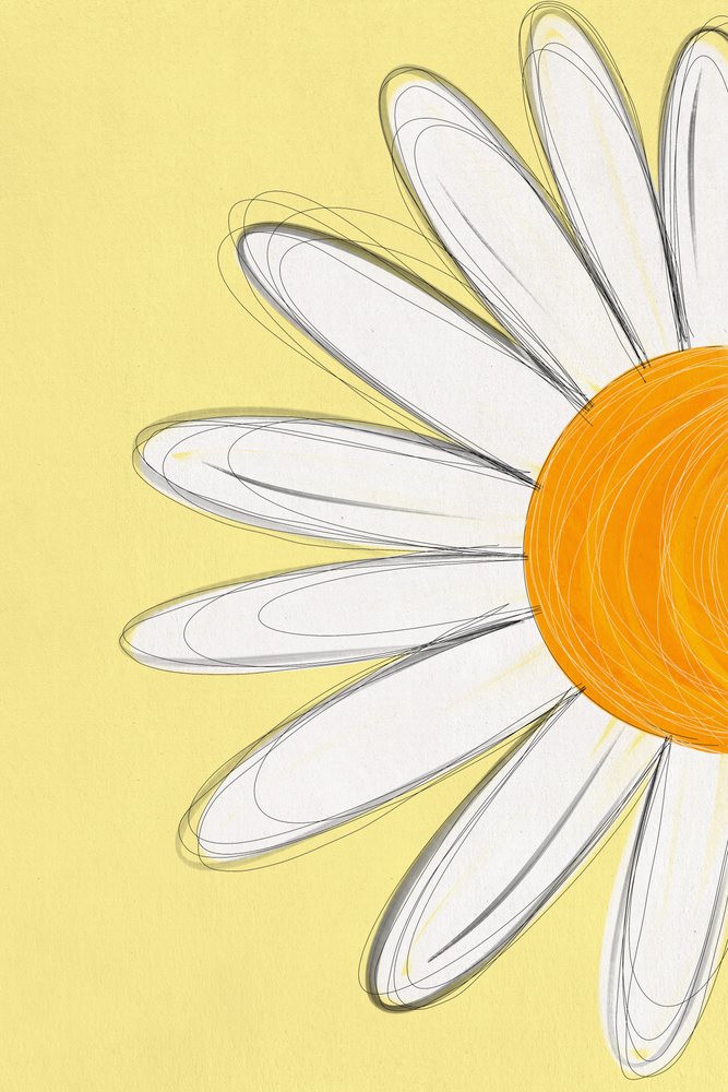 Illustration of a daisy flower with white petals and a yellow center on a light yellow background.