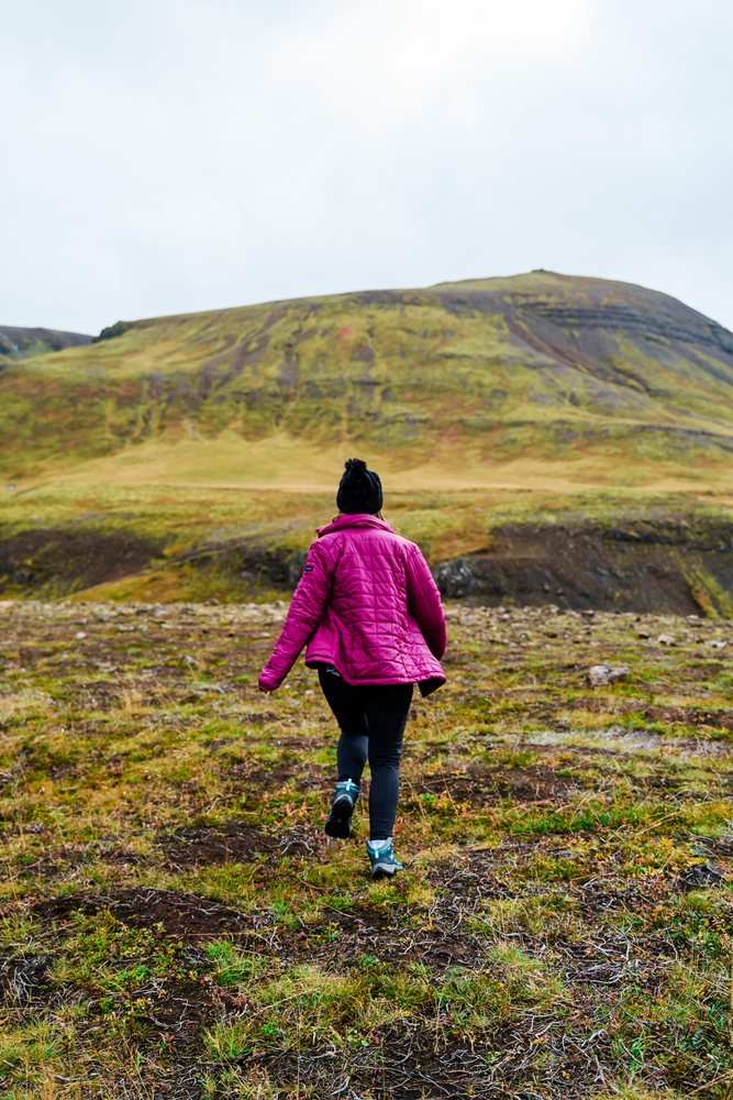A person wearing a magenta puffer jacket and black hat walks through a grassy, rocky landscape with a mountain in the background, Iceland.