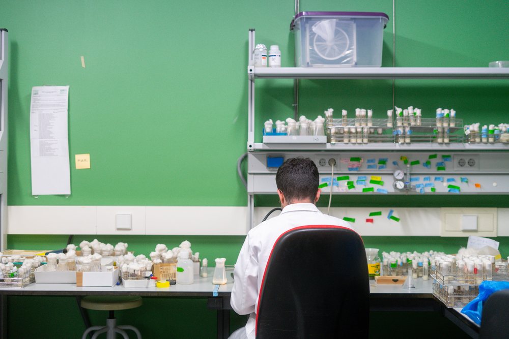 A scientist wearing a white lab coat works with many test tubes and specimens Inside A Research Laboratory with green walls, science, biology, research.