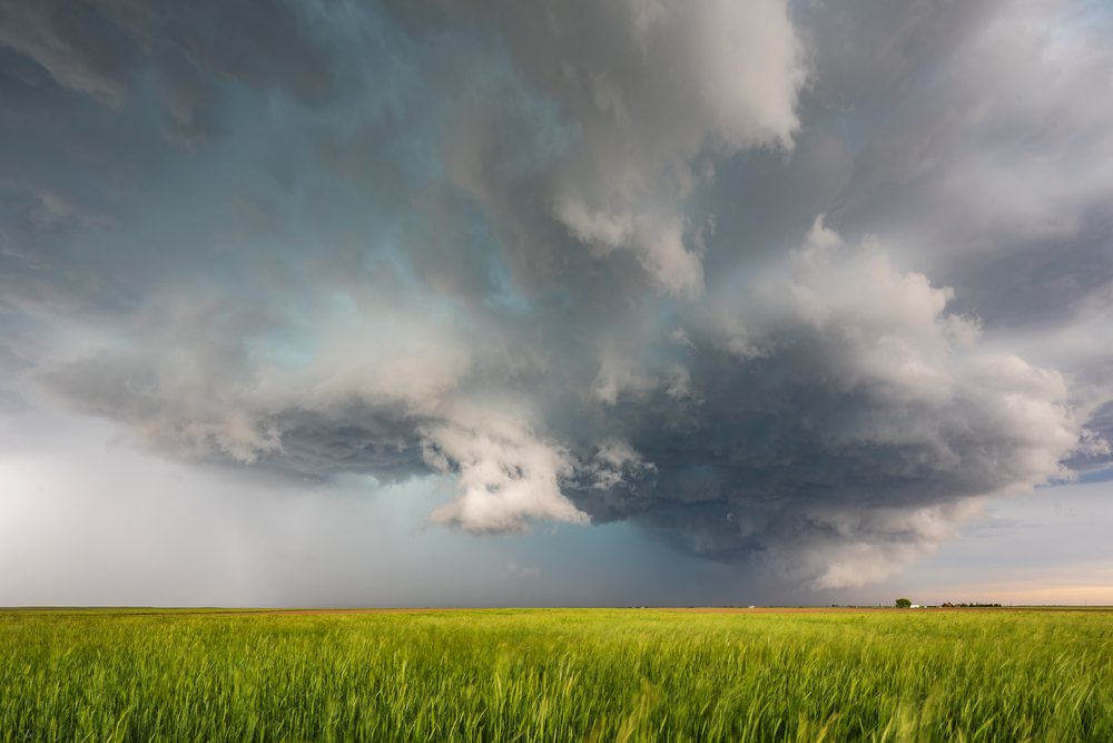 Supercell storm with large cumulonimbus clouds developing over a green grass field in rural Carpenter on the Great Plains in Tornado Alley, Wyoming, USA.