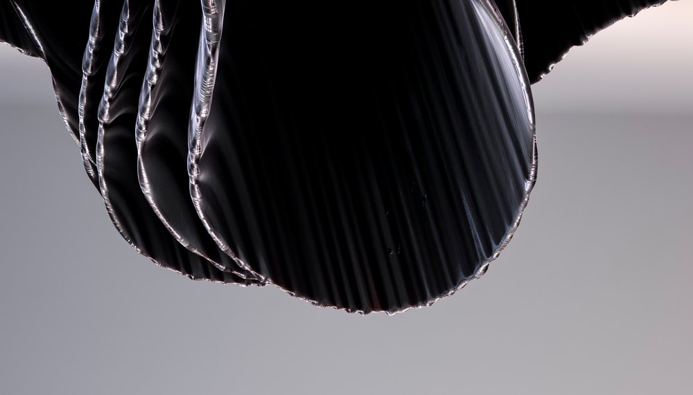Close-up showing black wood ear mushroom slices with textured dark glossy caps and visible fungal gills on a pale background.
