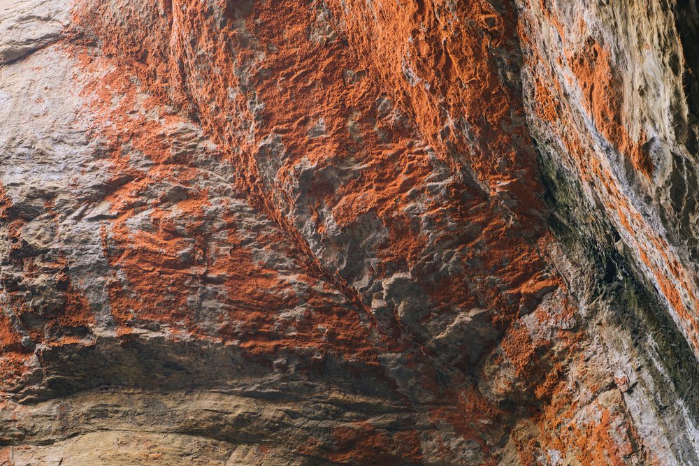 Devils Punch bowl rock formation featuring orange lichen on a weathered gray cliff surface, Oregon, USA.