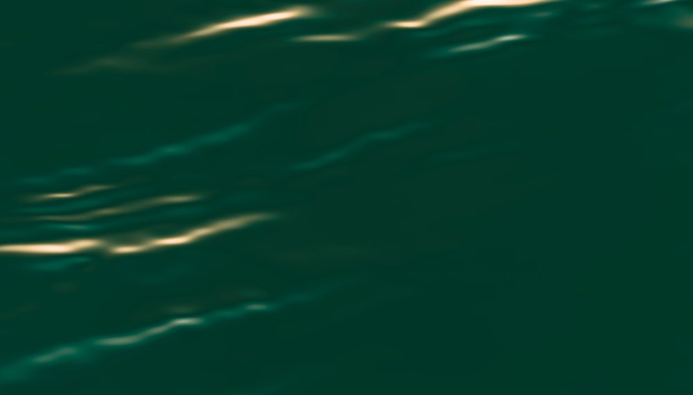 Water surface with sunlight reflecting on gentle ripples creating a shimmering pattern.