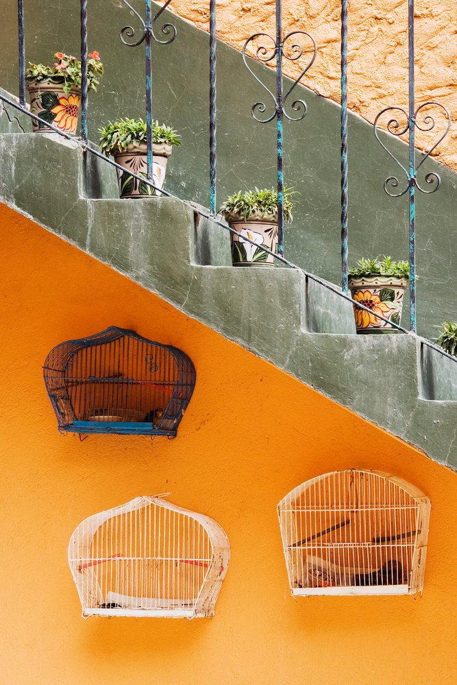 Three birdcages hang on an orange textured wall beneath a staircase decorated with leafy green potted plants in colorful pots and a green metal railing with heart-shaped designs.