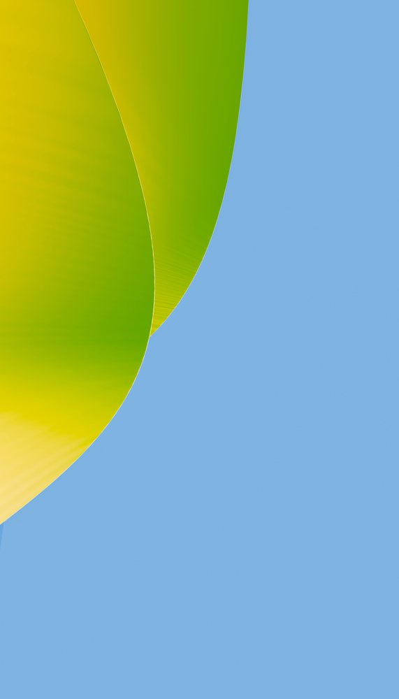 Green and yellow curved ribbon-like abstract shape against a solid blue background in a minimalist studio setting.