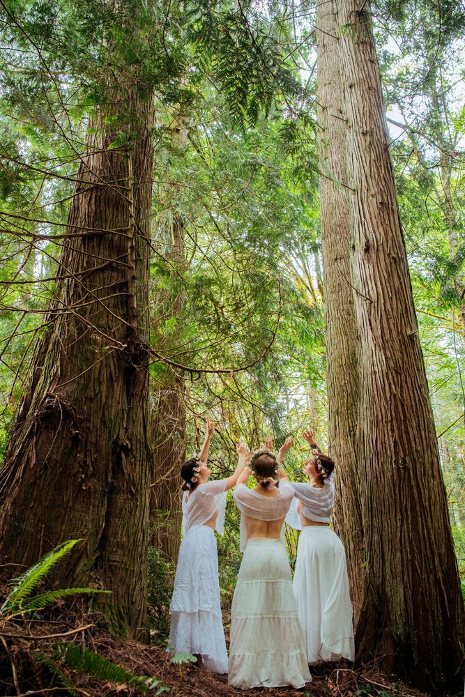 Three women wearing flower crowns and white dresses raise their hands together in a forest among tall trees, muses, USA.