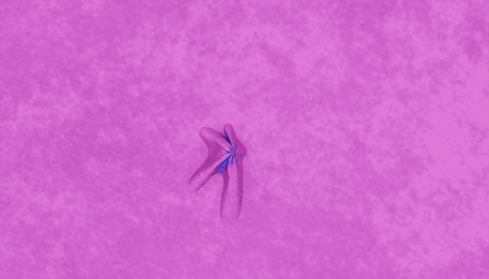 Starfish with three arms resting on a pink textured sea floor.